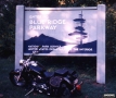 blue_10