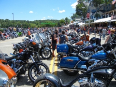 DSCN3717