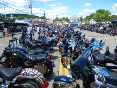 DSCN3718