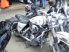 DSCN3733