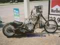 Skeleton Bike (from Auburn, AL)